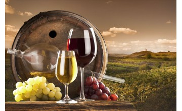 Sample Blog Post Title 2