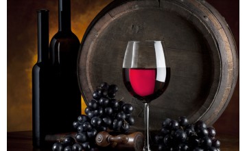 Sample Blog Post Title 4